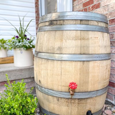 DIY Rain Barrel On A Budget