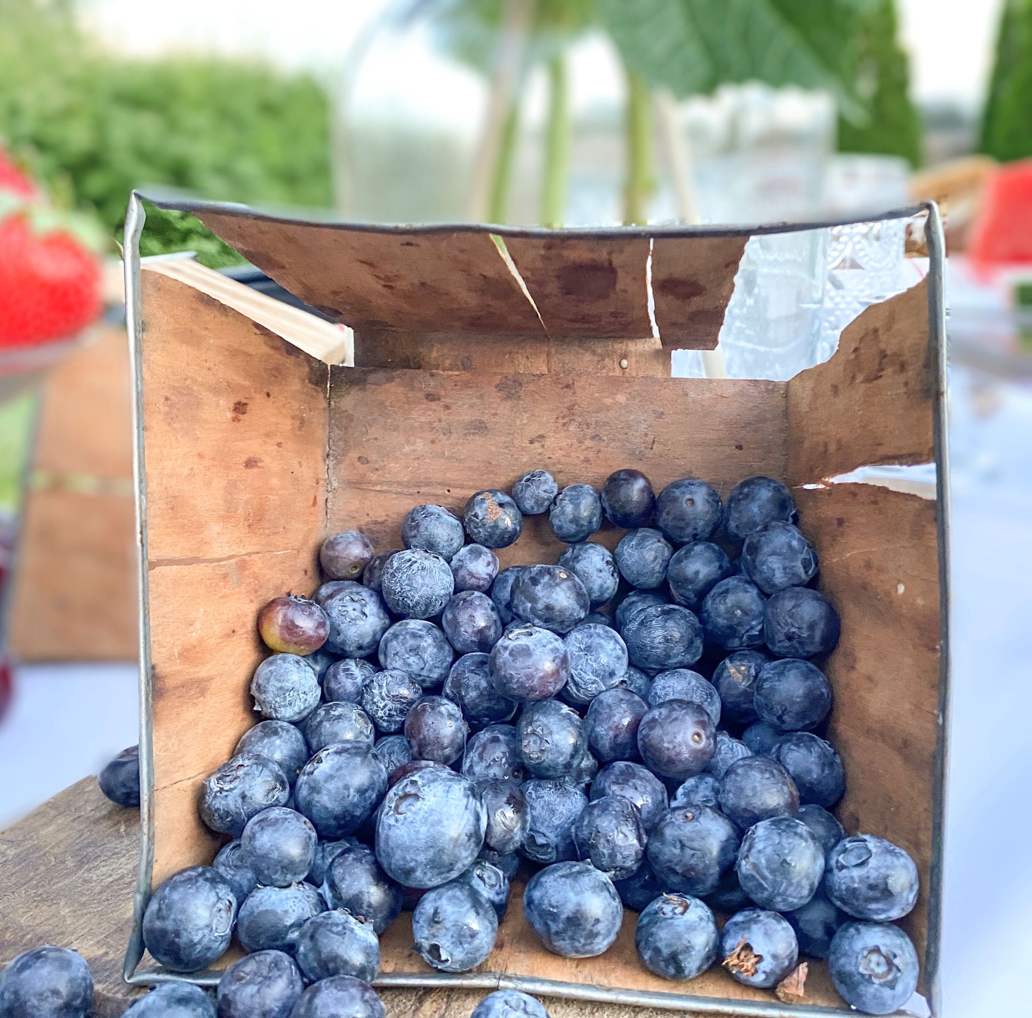 Vintage berry basket filled with blueberries on a summer outdoor tablescape for Memorial Day