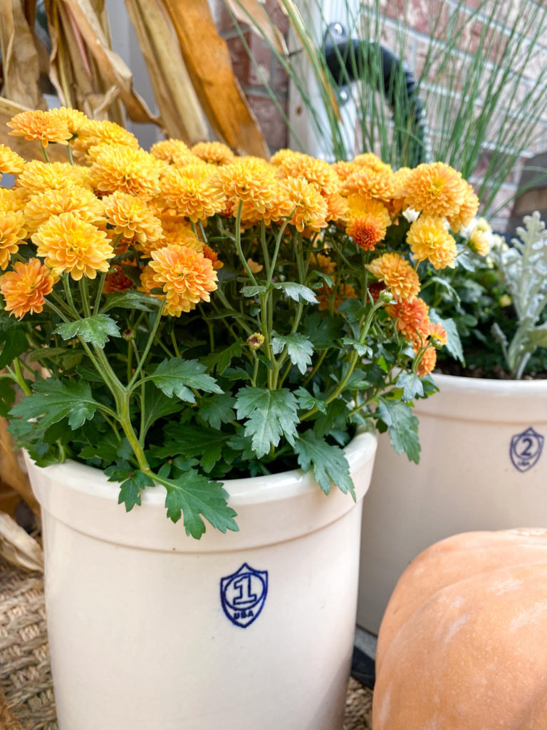 Orange Mums in Crocks - Midwest Life and Style Blog