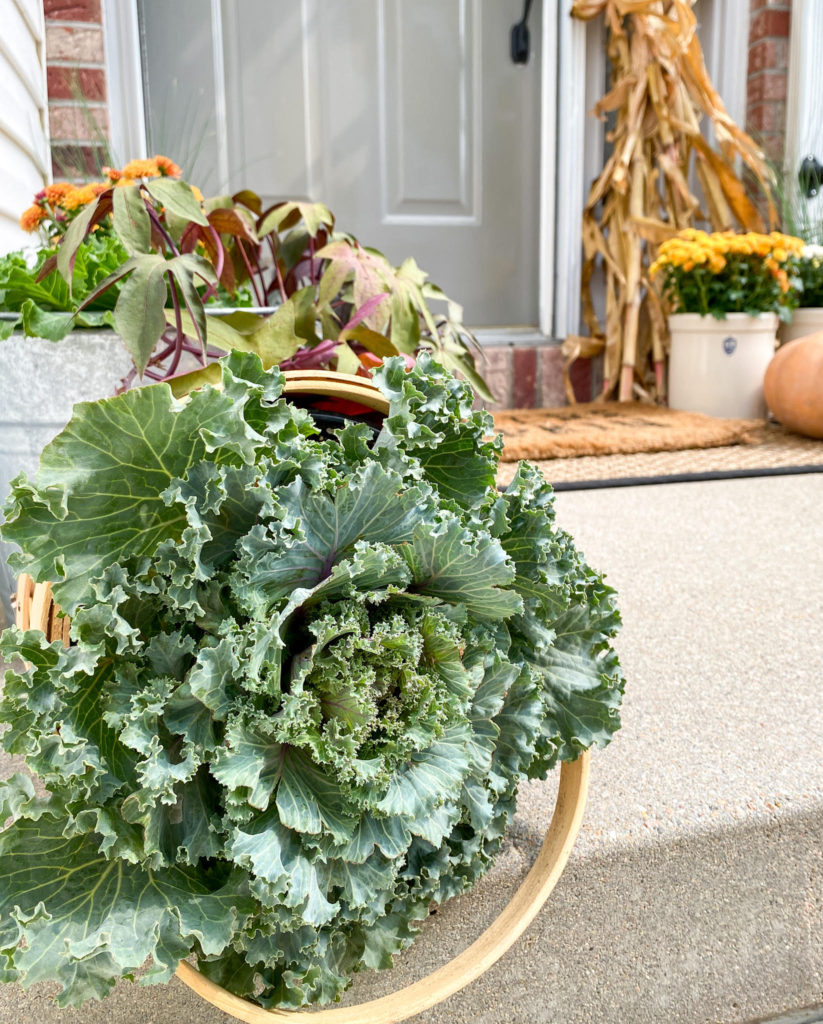 How To Style A Cozy And Welcoming Fall Porch