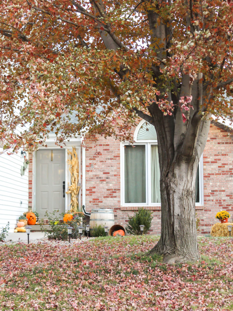 Fall yard Clean Up - Midwest Life and Style Blog