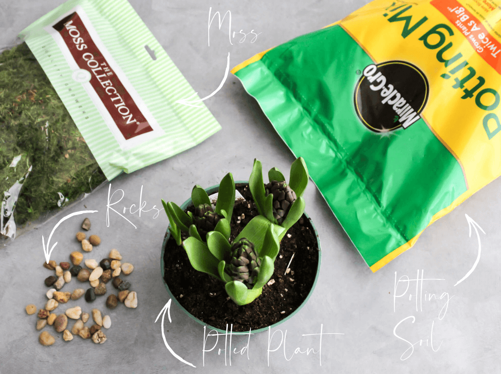 Spring Planter Supplies 2 - Midwest Life and Style Blog