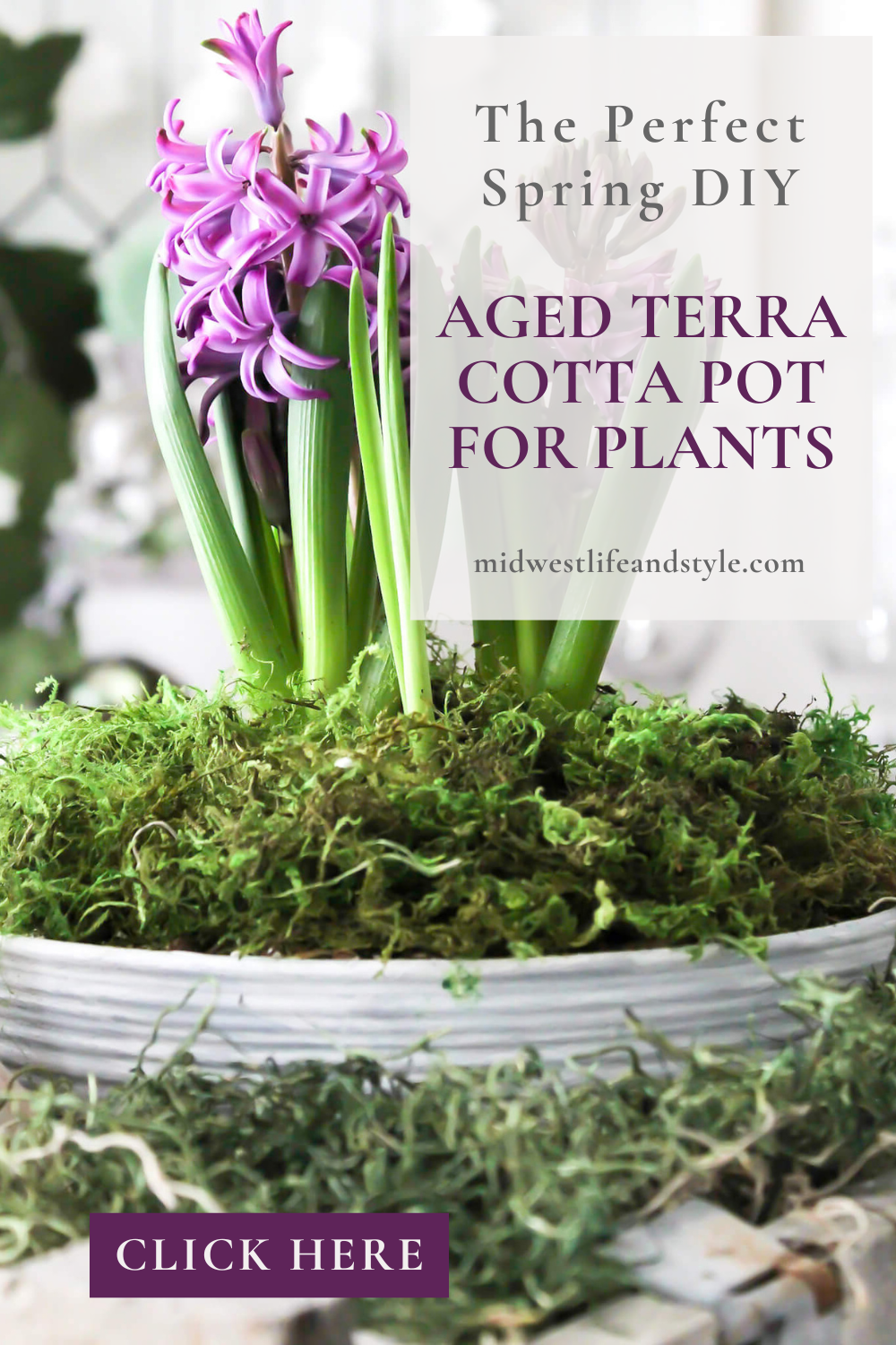 Aged Terra Cotta Pot for Spring