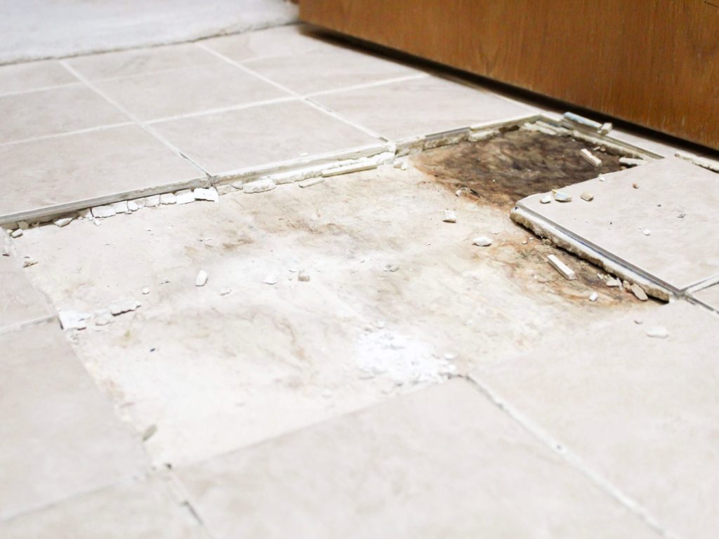 Water Damage to Floor - Midwest Life and Style Blog