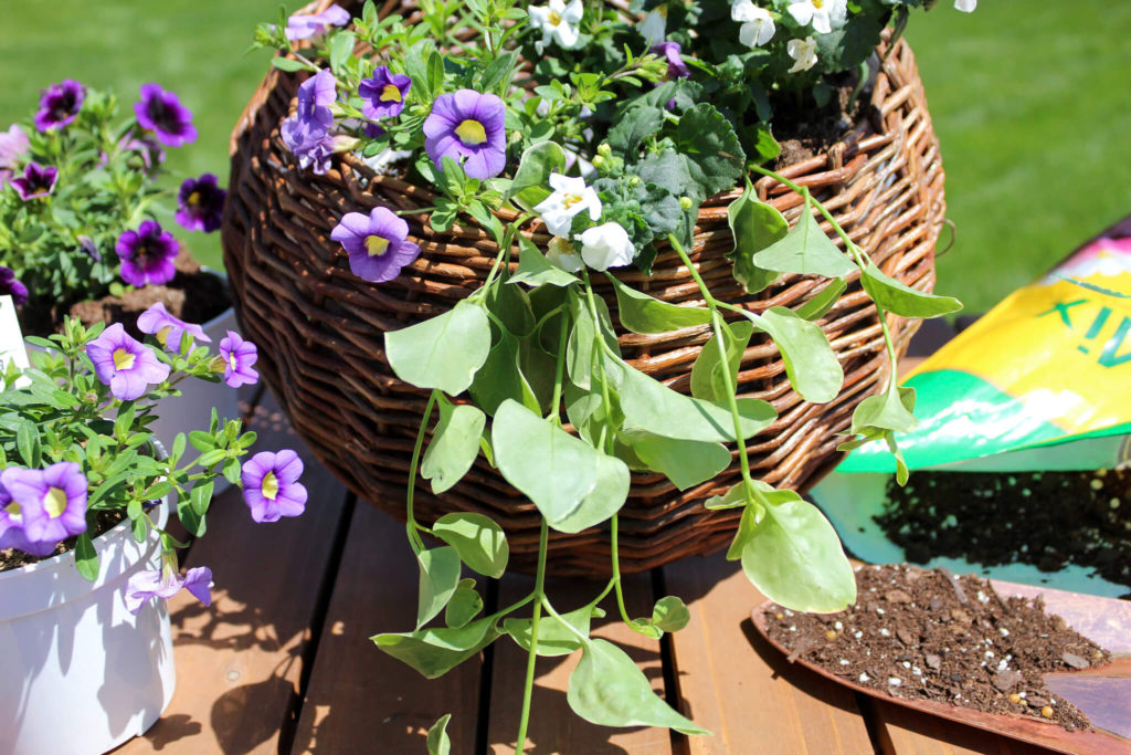 Simple  DIY Spring Door Basket - Midwest Life and Style Blog