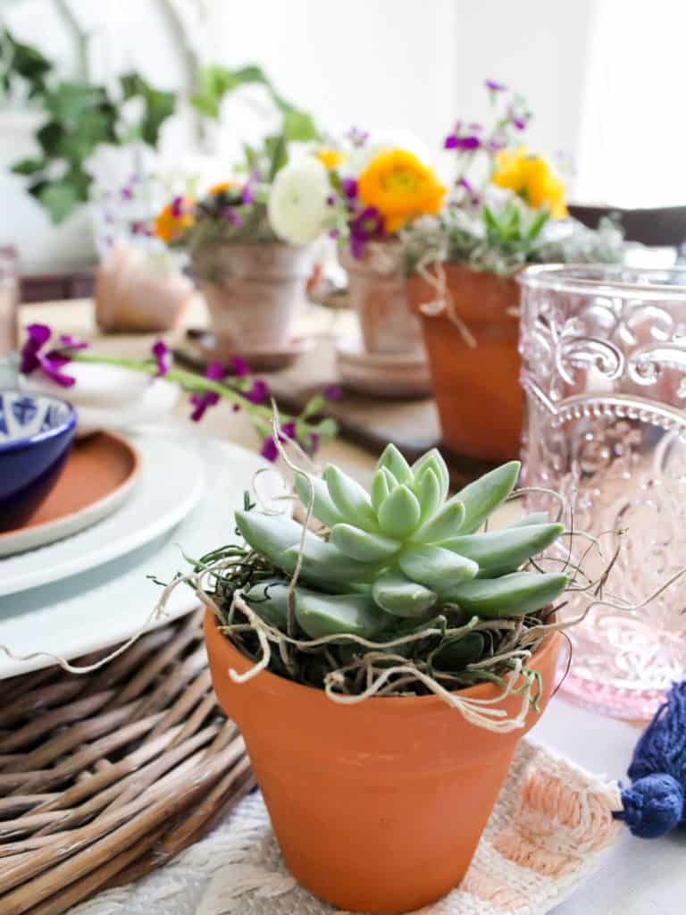 Mini Succulent Centerpiece - Midwest Life and Style Blog