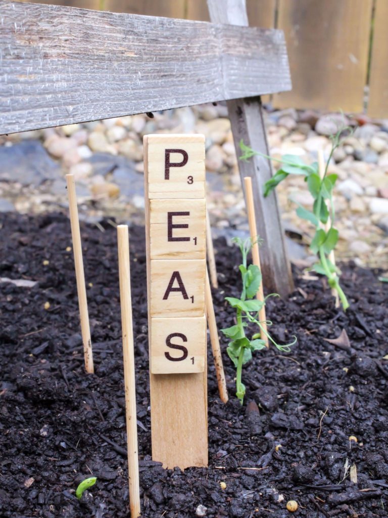 Quick and Easy DIY Garden Markers - Midwest Life and Style Blog