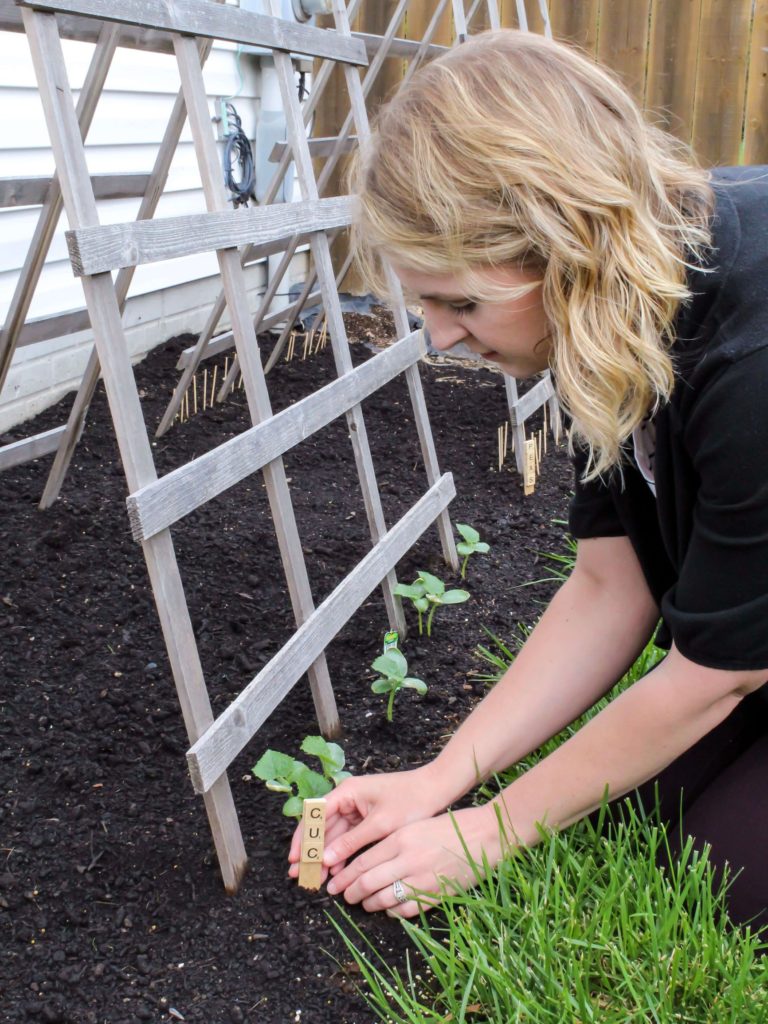 Quick and Easy DIY Garden Markers - Midwest Life and Style Blog