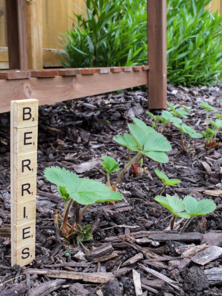 Quick and Easy DIY Garden Markers - Midwest Life and Style Blog