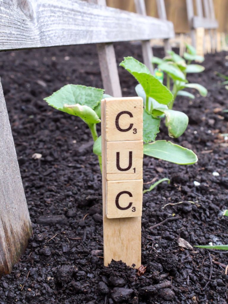 DIY Scrabble Garden Markers - Midwest Life and Style Blog