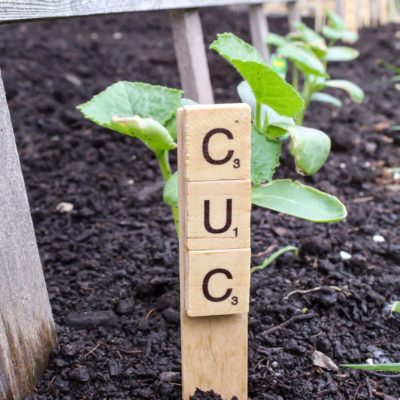 Quick And Easy DIY Garden Markers