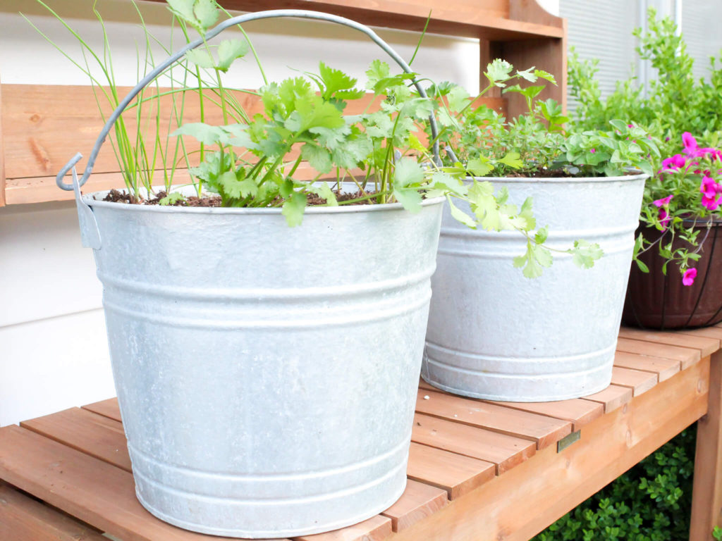 How To Start A Patio Container Herb Garden - Midwest Life and Style Blog