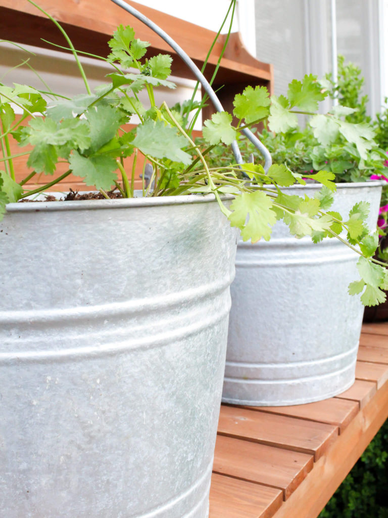 DIY Patio Container Herb Garden - Midwest Life and Style Blog