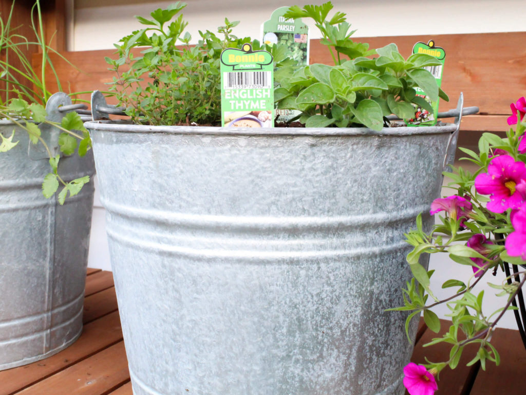 How To Start A Patio Container Herb Garden - Midwest Life and Style Blog