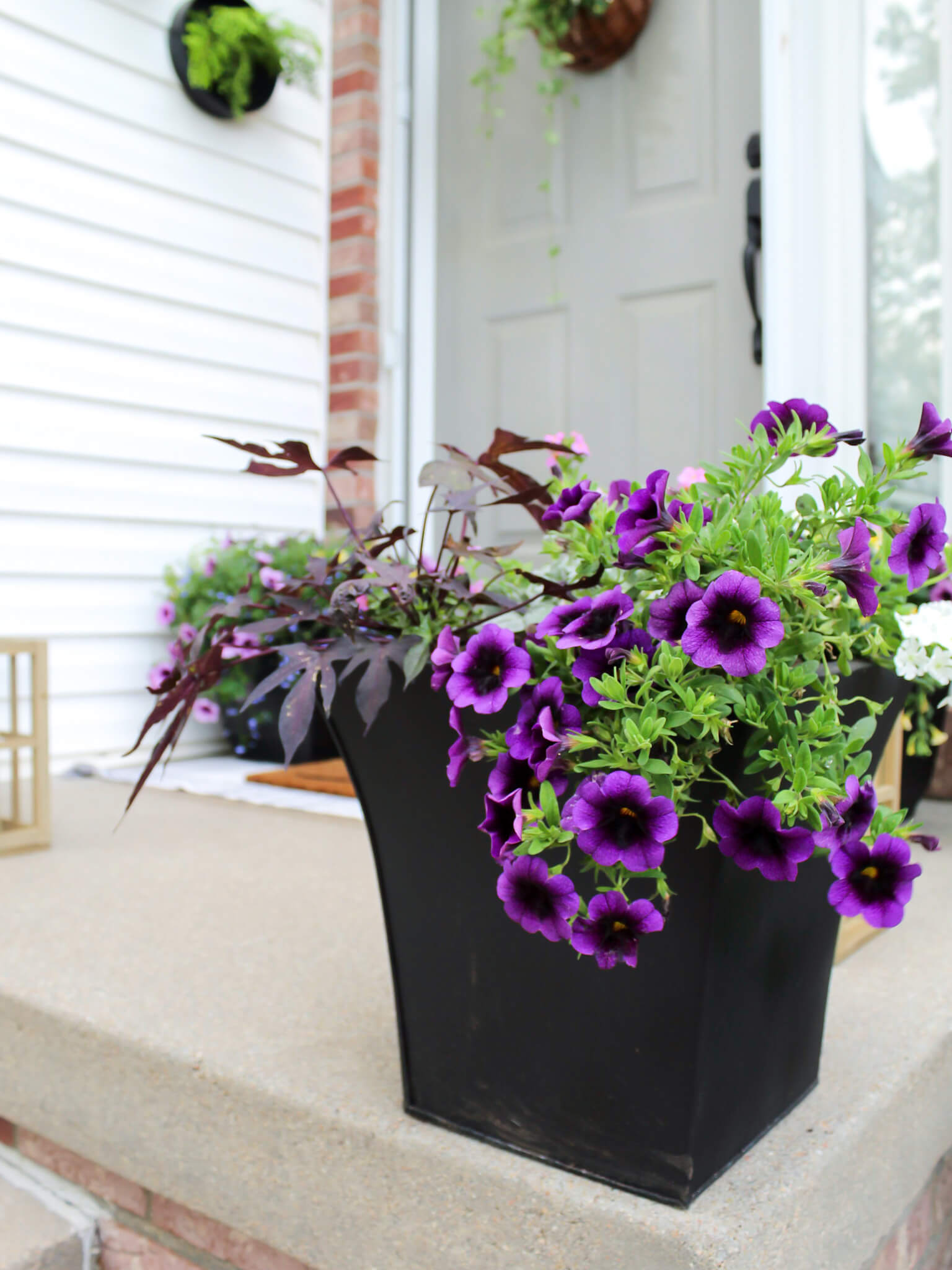 Spring Planter with Purple Flowers and Vining Annuals - Midwest Life and STyle Blog