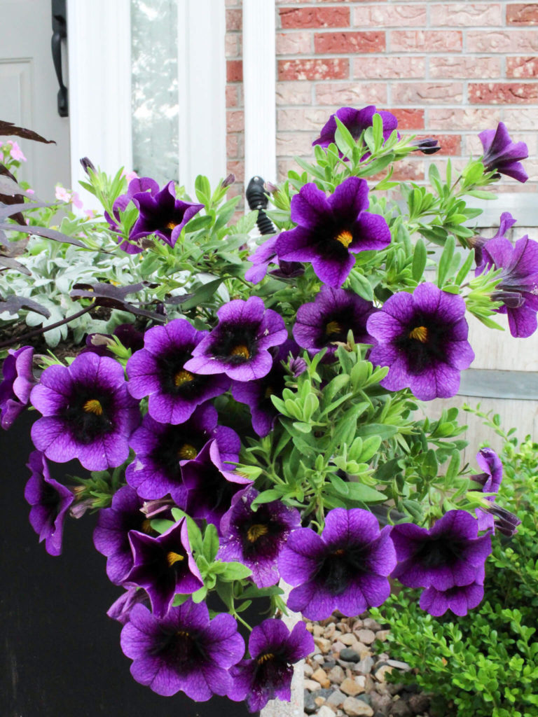 Close Up of Flower Planter - Midwest Life and Style  Blog