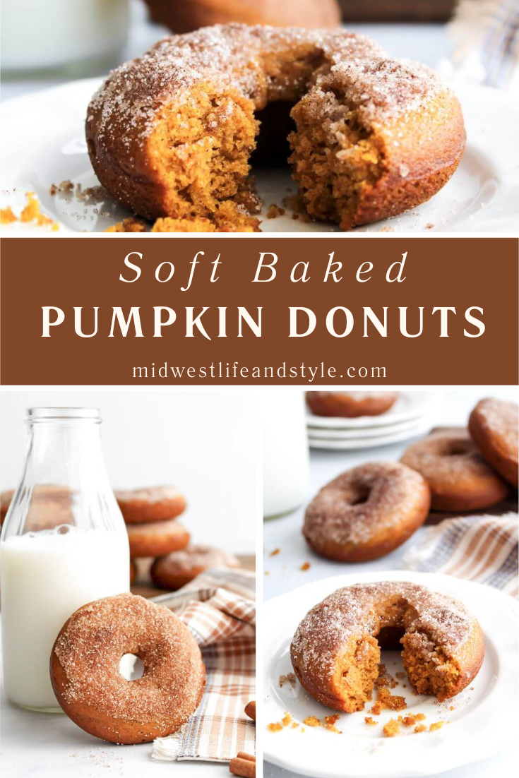 Soft Baked Pumpkin Donuts