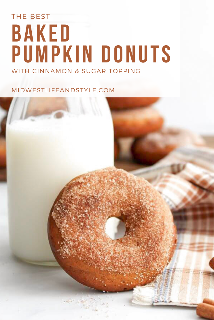 The Best Baked Pumpkin Donuts with Cinnamon and Sugar Topping