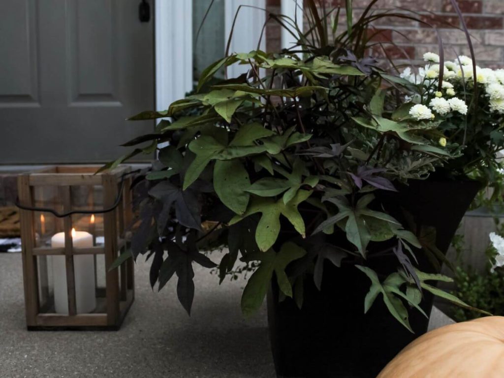 How To Easily Transition Your Porch For Fall - Midwest Life and Style Blog