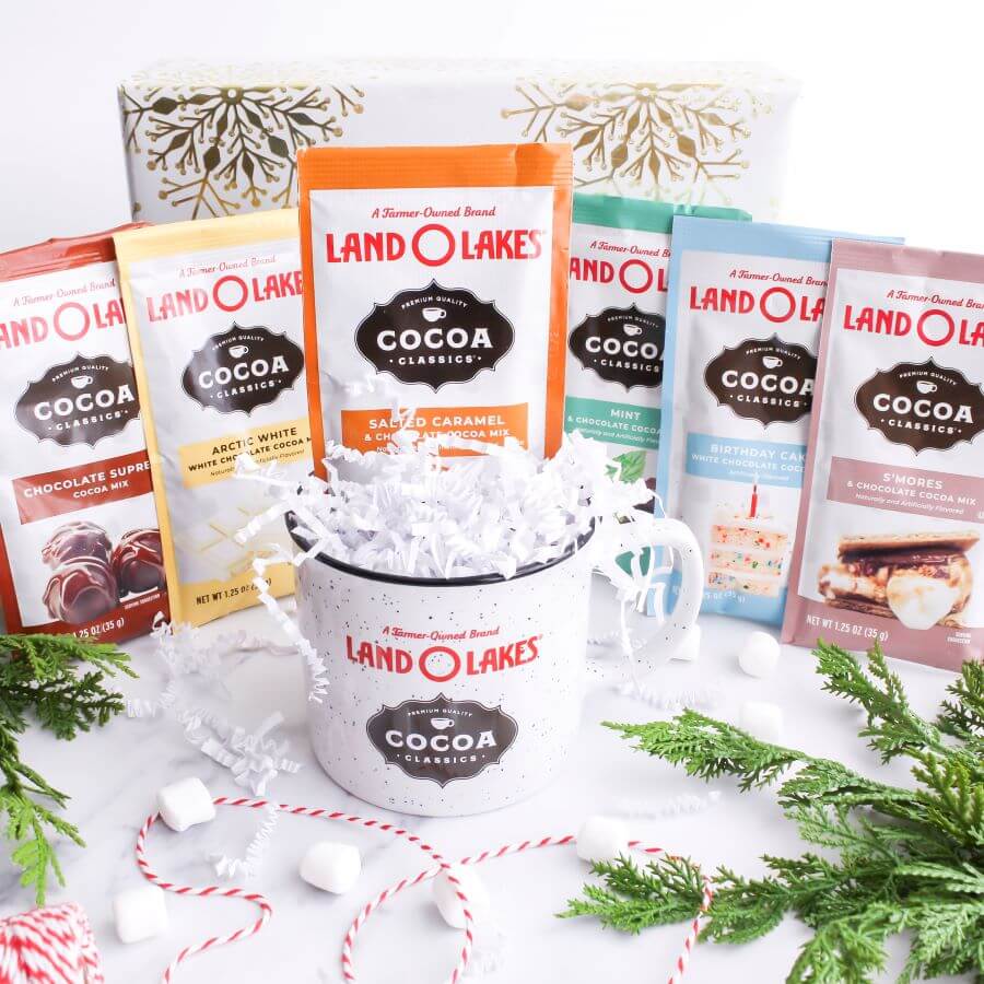 Flavors of Land O Lakes Cocoa Classics Hot Cocoa Mix - Midwest Life and Style Blog