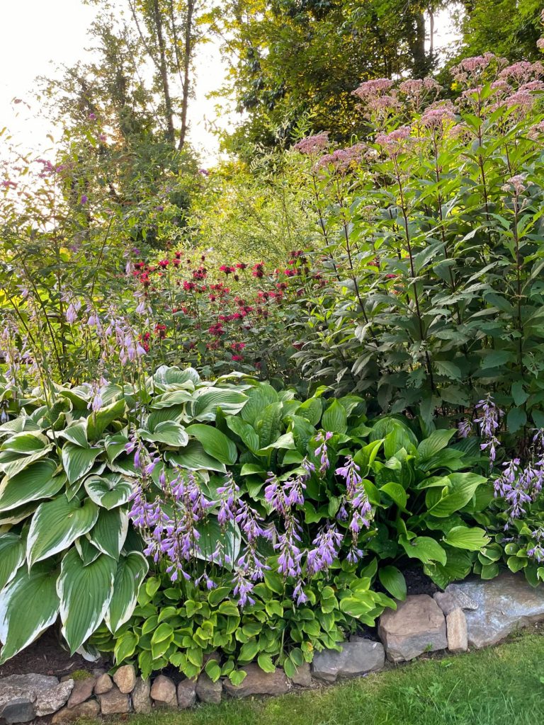 10 Easy-Care Shade Loving Plants from Bricks 'n Blooms - Week In Rewind with Midwest Life and Style