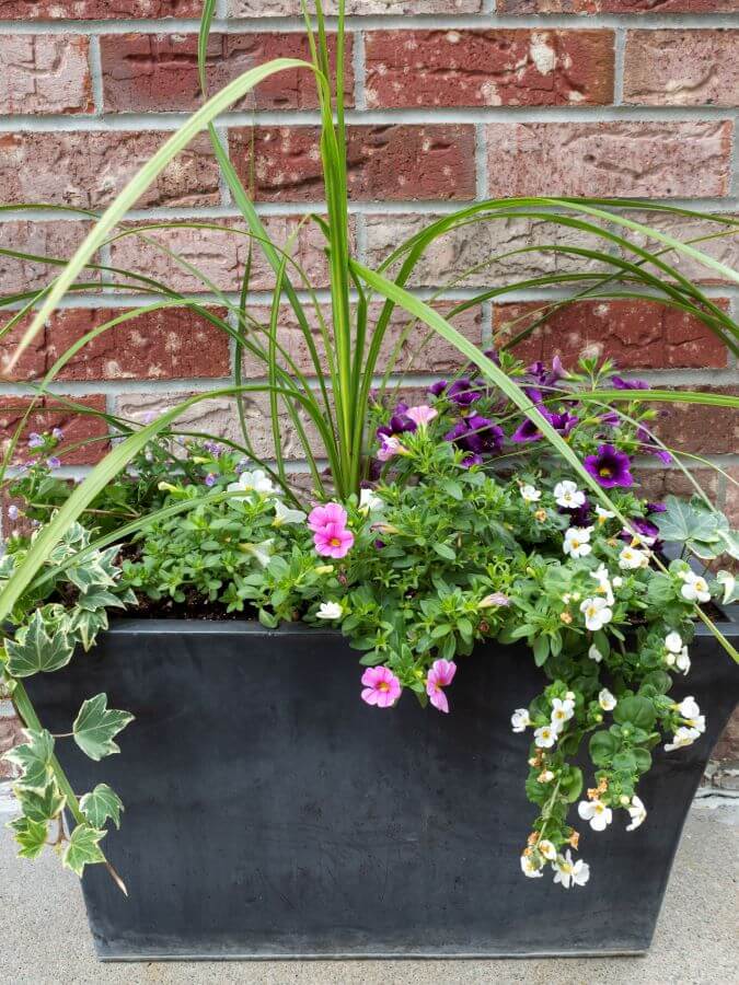 How To Create Beautiful Spring Planters In 4 Easy Steps - Midwest Life and Style Blog