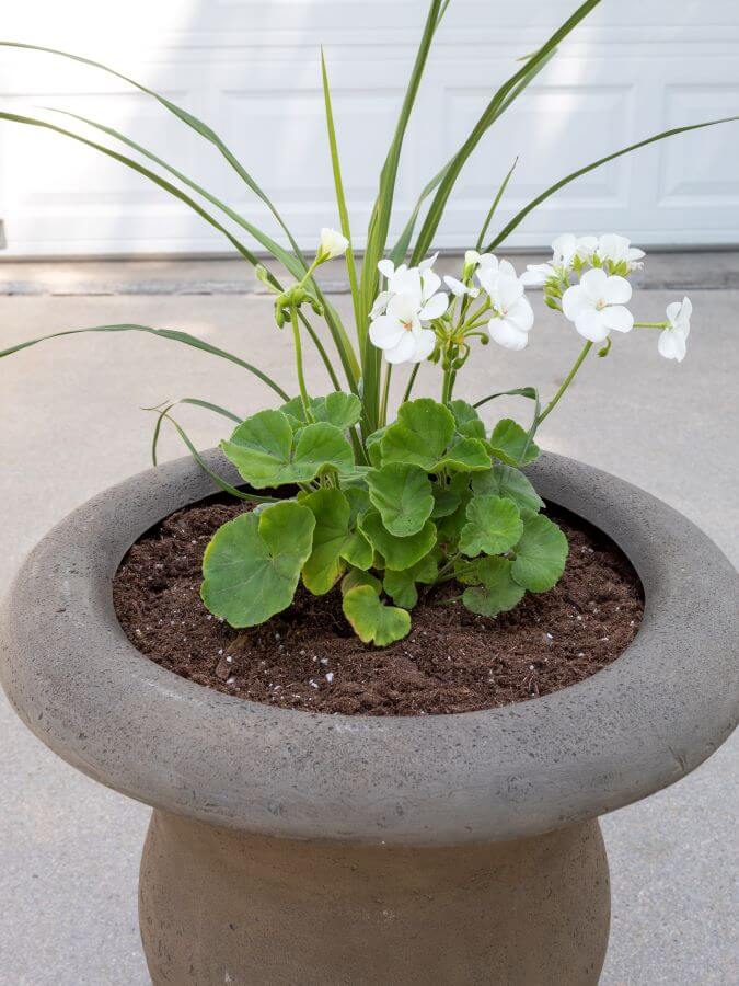 How To Create Beautiful Spring Planters In 4 Easy Steps - Midwest Life and Style Blog