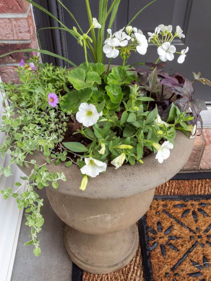 How To Create Beautiful Spring Planters In 4 Easy Steps - Midwest Life and Style Blog