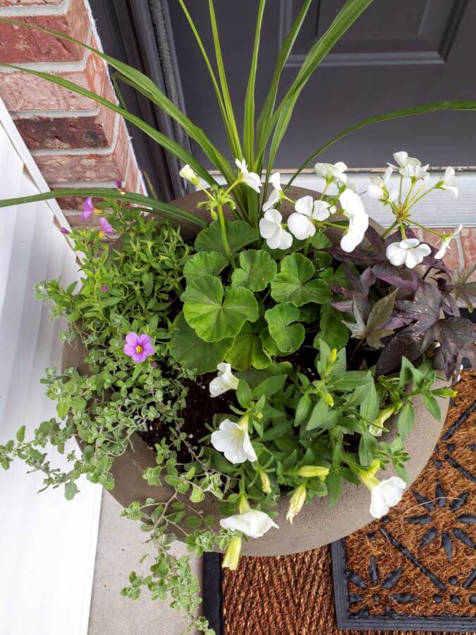 How To Create Beautiful Spring Planters In 4 Easy Steps - Midwest Life and Style Blog