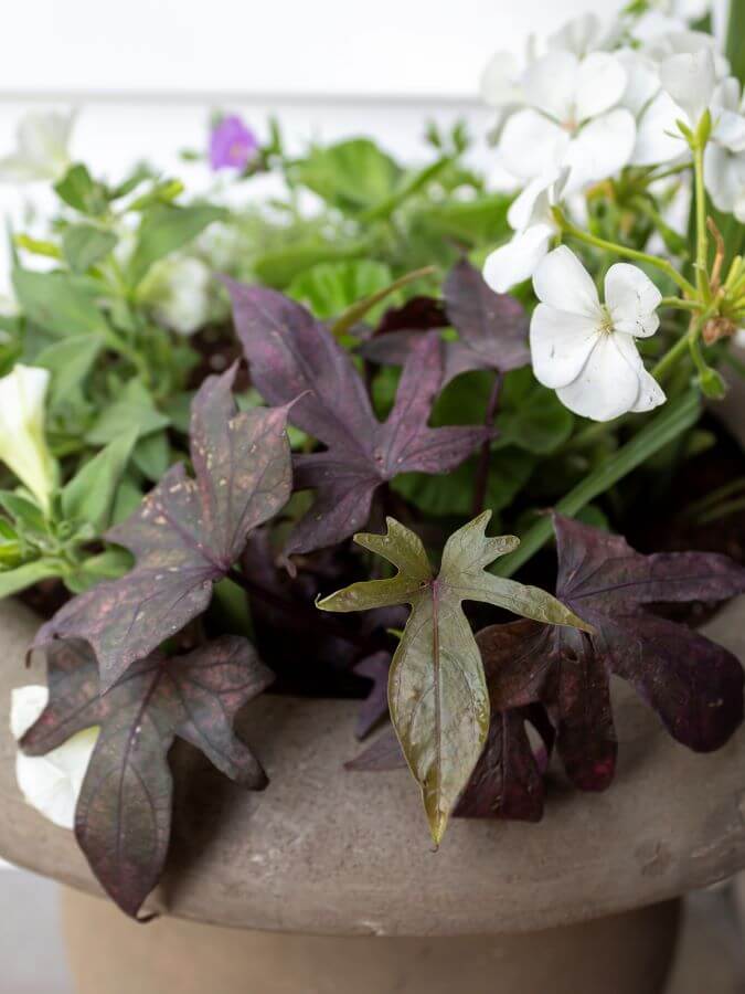 How To Create Beautiful Spring Planters In 4 Easy Steps - Midwest Life and Style Blog