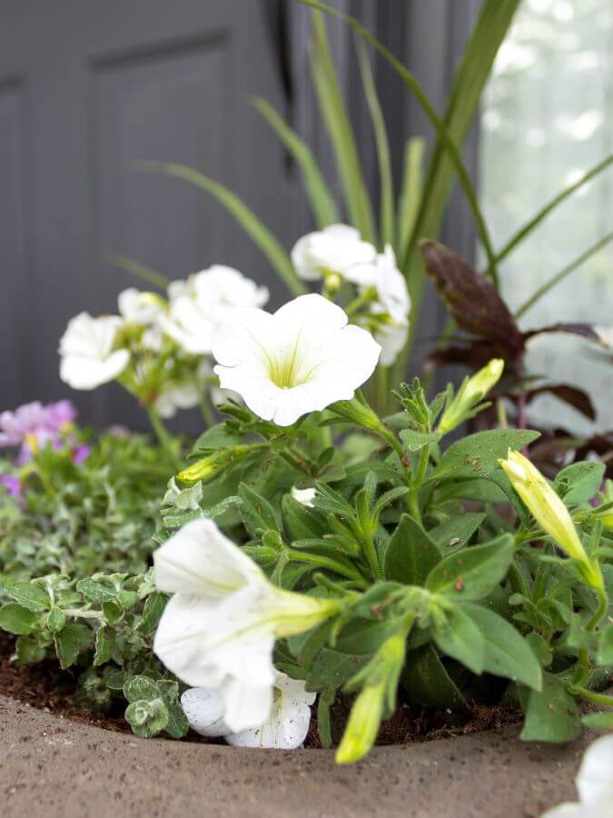 How To Create Beautiful Spring Planters In 4 Easy Steps - Midwest Life and Style Blog