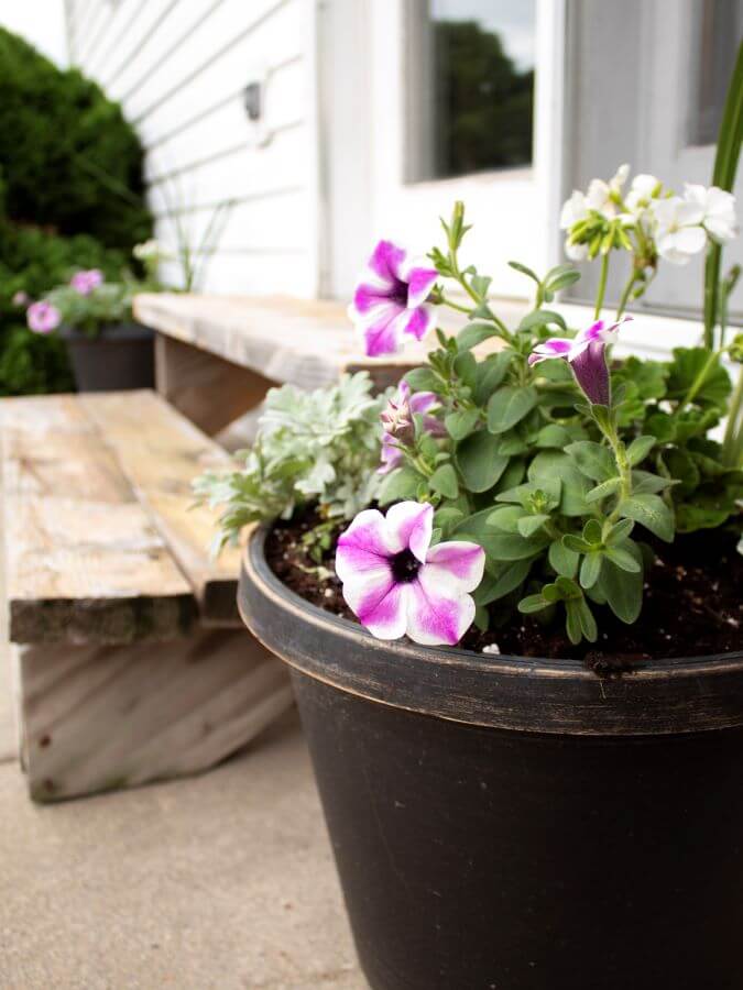 How To Create Beautiful Spring Planters In 4 Easy Steps - Midwest Life and Style Blog