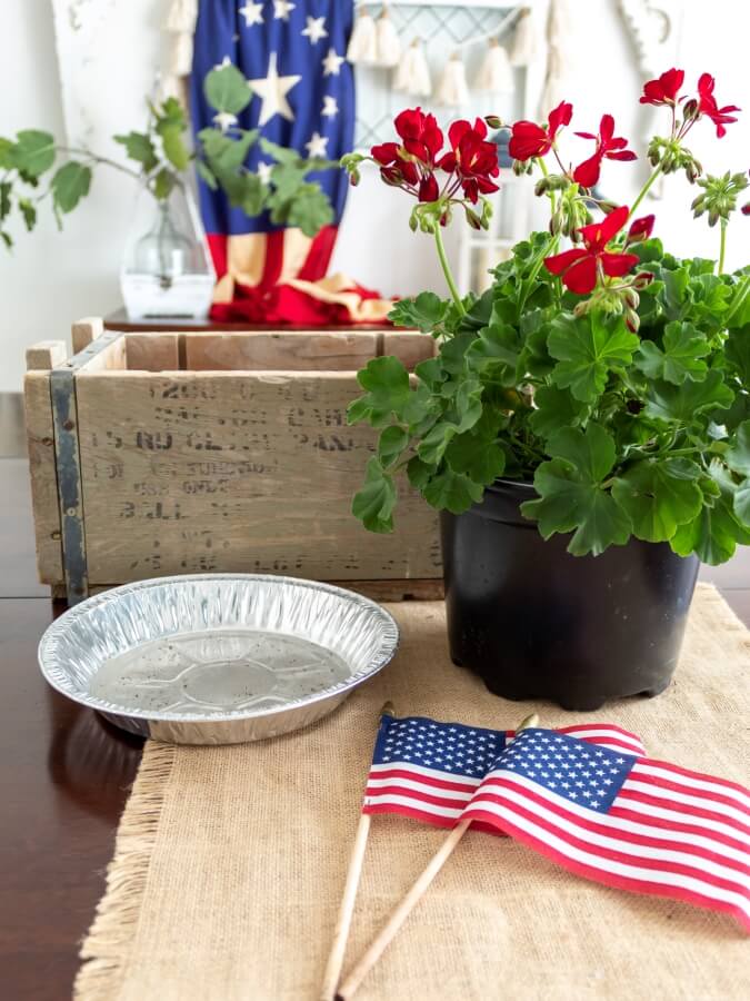 Patriotic Centerpiece Supplies - Vintage Woood Crate, Red Potted Geraniums, Disosable Pie Tin 