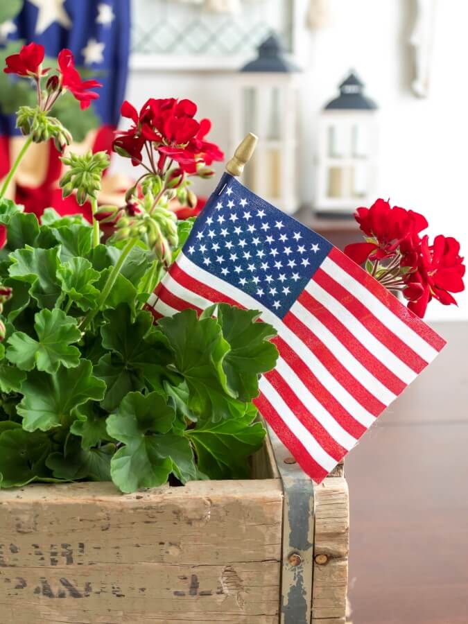 Close Up View of Small American Flag in a Wood Planter with Red Geraniums for the 4th of July 