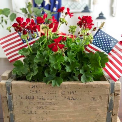 Beautiful and Simple Patriotic Centerpiece with Red Geraniums