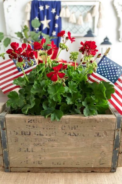 Patriotic Summer Centerpiece with Red Geraniums and American Flags in a Vintage Wood Crate