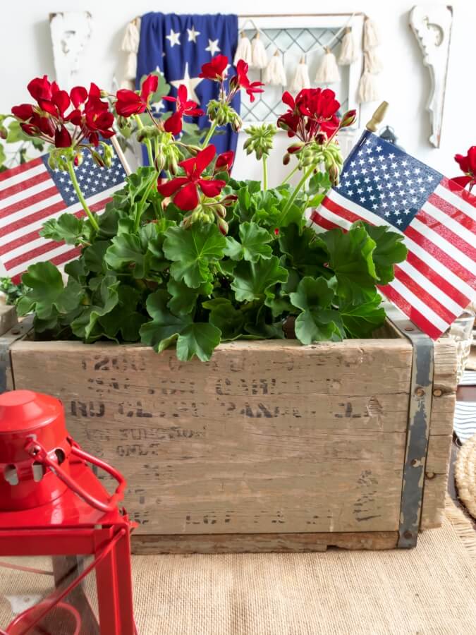 Patriotiric Red, White and Blue Centerpiece with Red Geraniums and Small American Flags in a Vintage Wood Crate