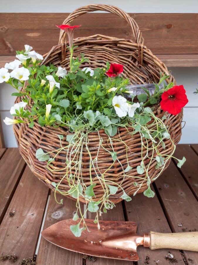 Summer Hanging Door Basket with Real Red and White Flowers for the 4th of July