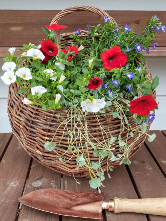 How To Create A Patriotic Door Basket With Annuals for Summer Deecorations 