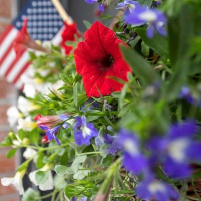 Summer Door Decorations Made Easy: A Patriotic Basket with Flowers