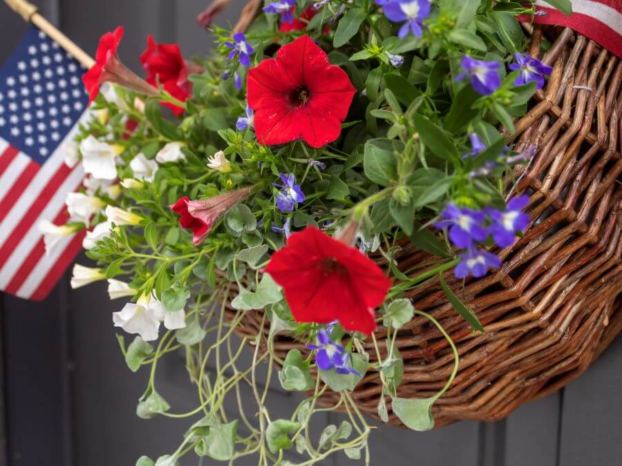 How To Create A Patriotic Door Basket With Annuals 