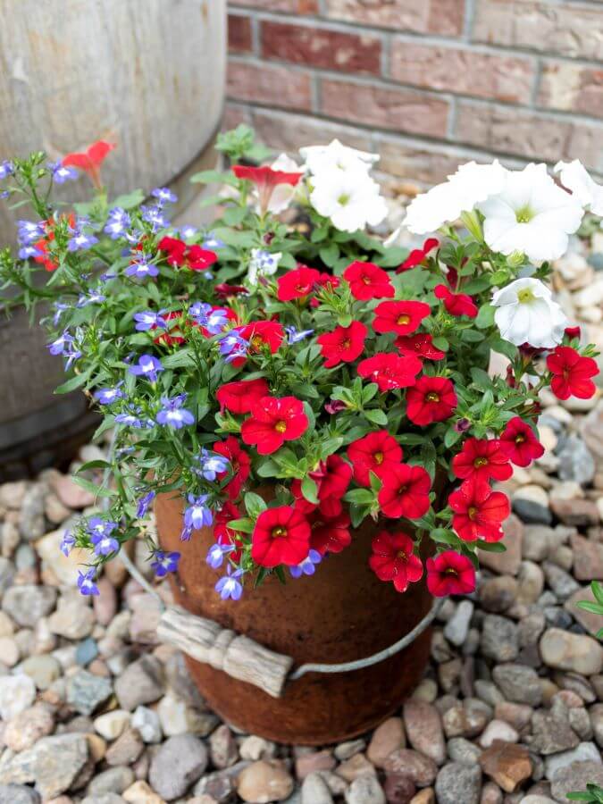 Patriotic Red, White and Blue Summer Planter in Rusty Metal Bucket - Midwest Life and Styel Blog