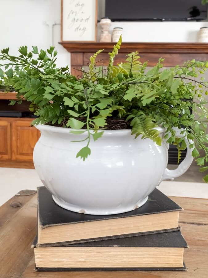 Faux Fern in Stoneware Pot with Vintage Books - Midwest Life and Style Blog