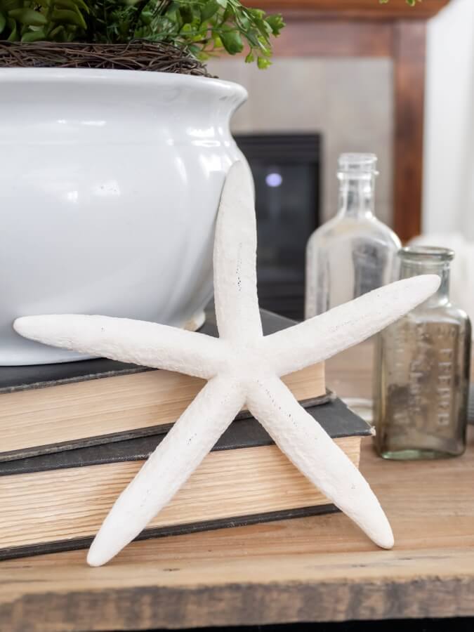 Starfish in Coastal Cottage Vignette - Midwest Life and Style Blog