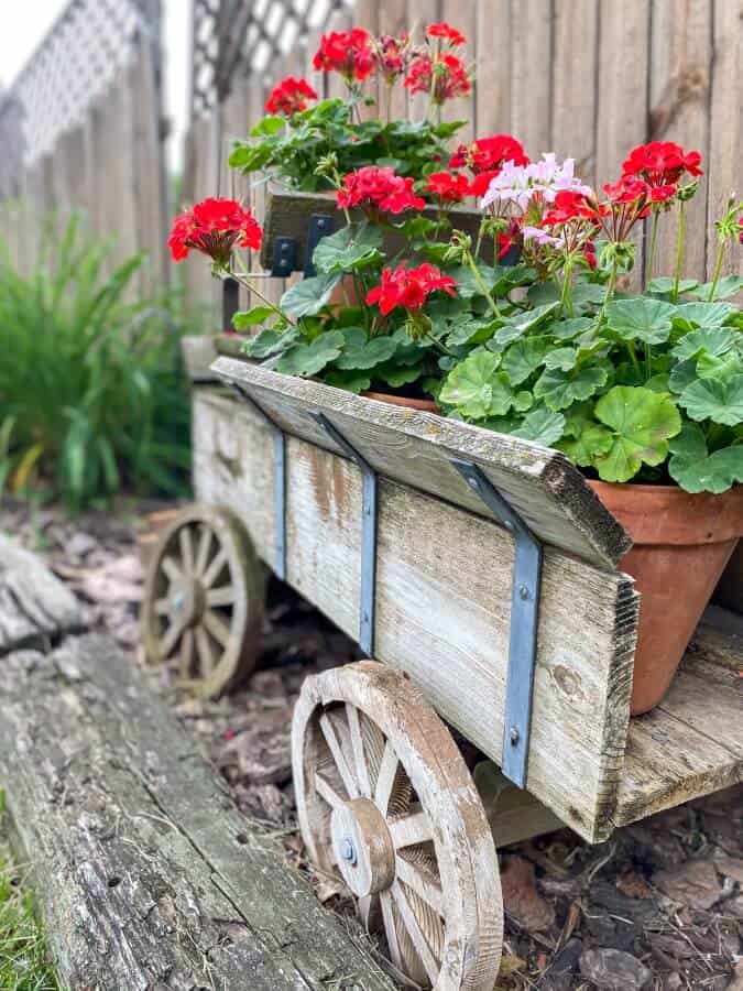 Old Wagon in Garden with Geraniums - Week in Rewind with Midwest Life and Style Blog