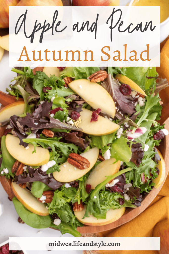 Autumn Apple and Pecan Salad - Midwest Life and Style Blog