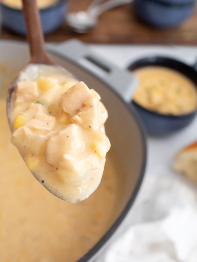 Spoonful of Creamy Chicken Chowder Soup