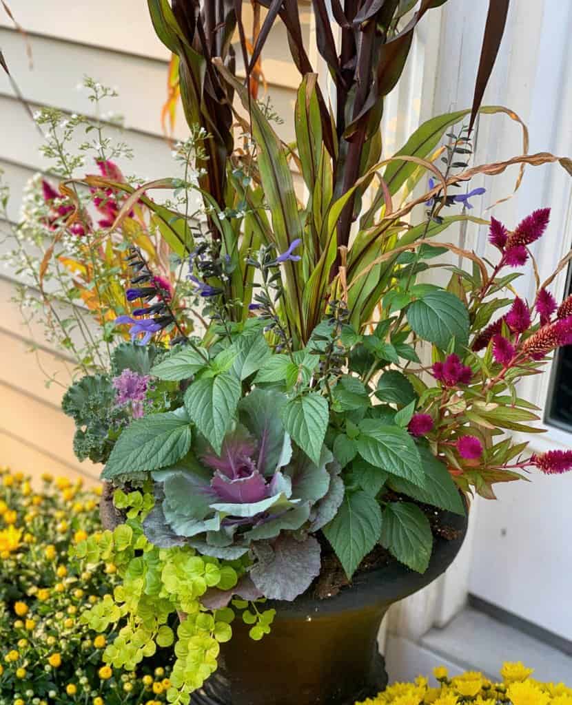 Fall Planter Ideas from Bricks 'n Blooms - Week In Rewind with Midwest Life and Style