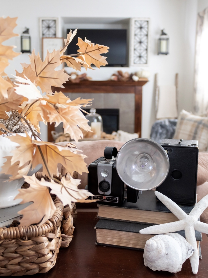 Vintage Cameras and Fall Vignette - Midwest Life and Style Blog