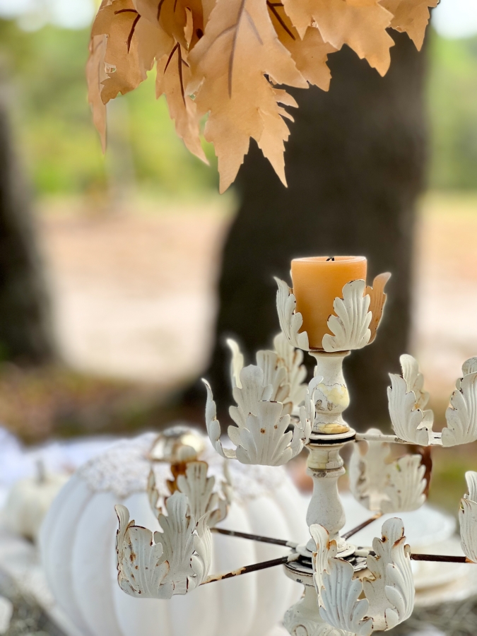 Friendsgiving Brunch Tablescape from County Road 407